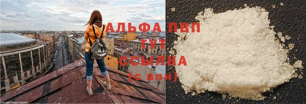 стафф Алексин