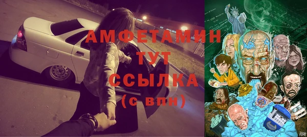 стафф Алексин