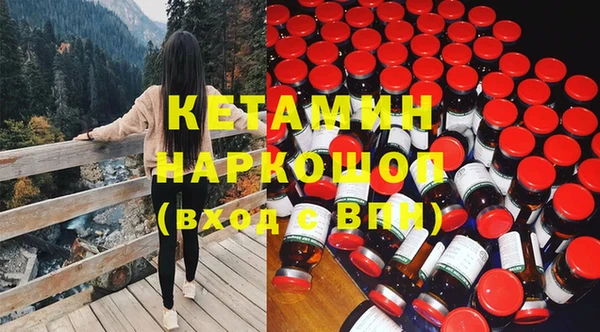 стафф Алексин
