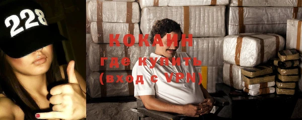 стафф Алексин