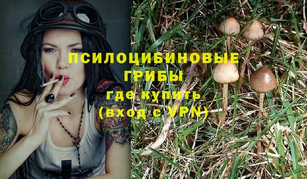 индика Алексеевка