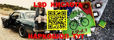 Альфа ПВП Дубна