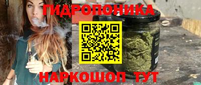 Альфа ПВП Дубна