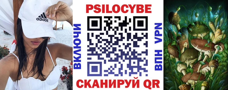 наркота  Нововоронеж  Галлюциногенные грибы Cubensis 