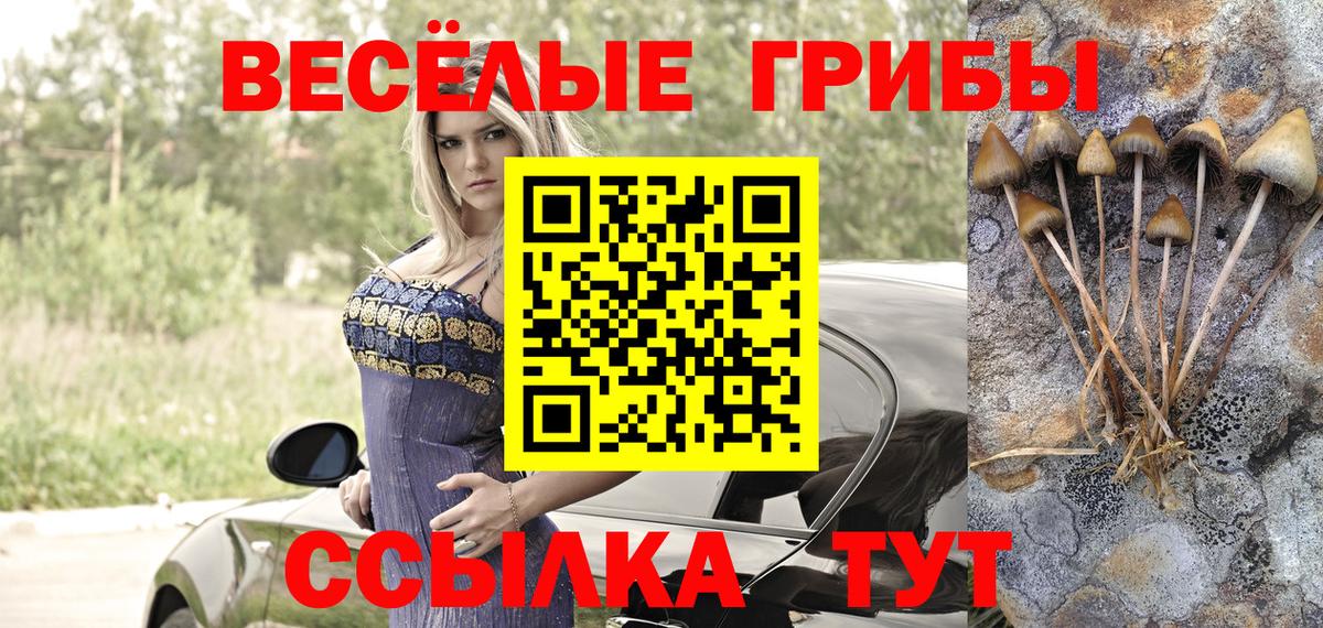 Псилоцибиновые грибы Magic Shrooms Нововоронеж