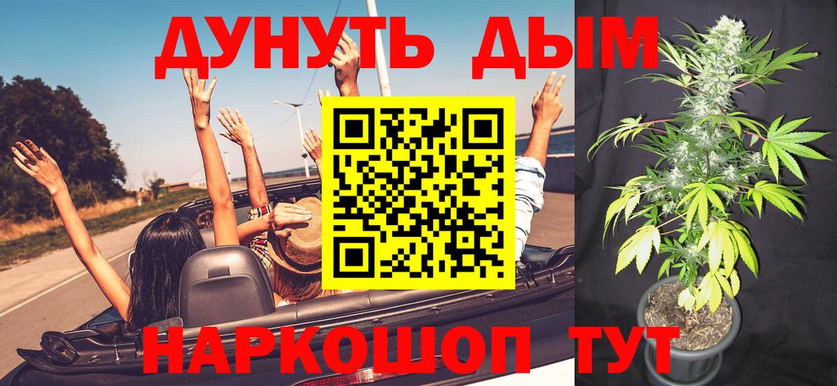 Шишки марихуана план Нововоронеж
